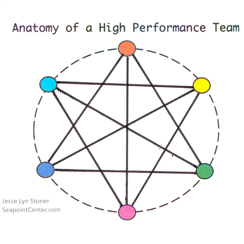 Shift the Flow of Energy to Propel Your Team To High Performance - Jesse Lyn Stoner