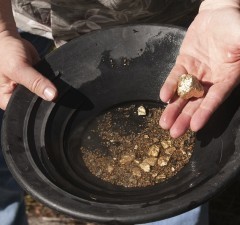 Gold Nuggets