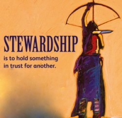 Stewardship