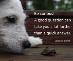 Be Curious