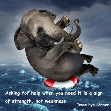 Strong Leaders Ask For Help