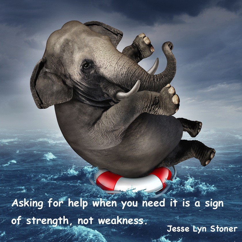 Strong Leaders Ask For Help | Jesse Lyn Stoner