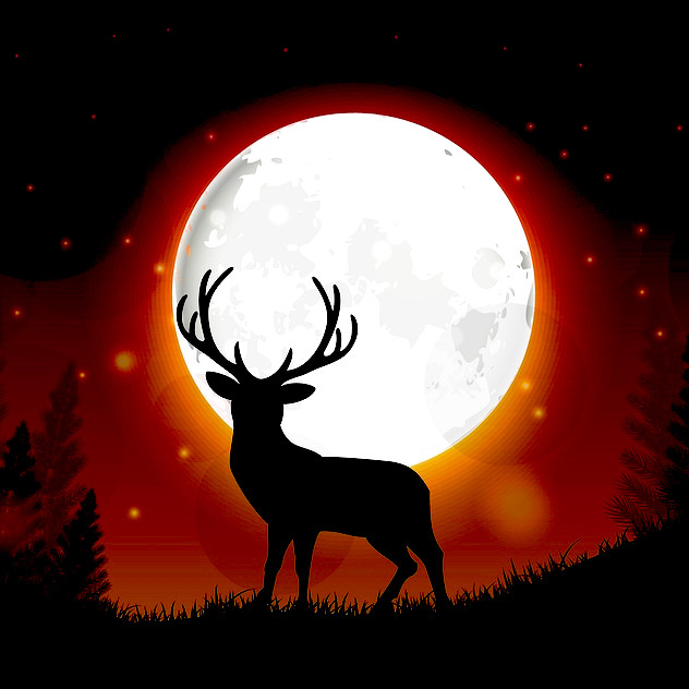 Silhouette of a deer standing on a hill at night