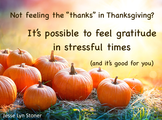 How to Feel Gratitude in Stressful Times | Jesse Lyn Stoner