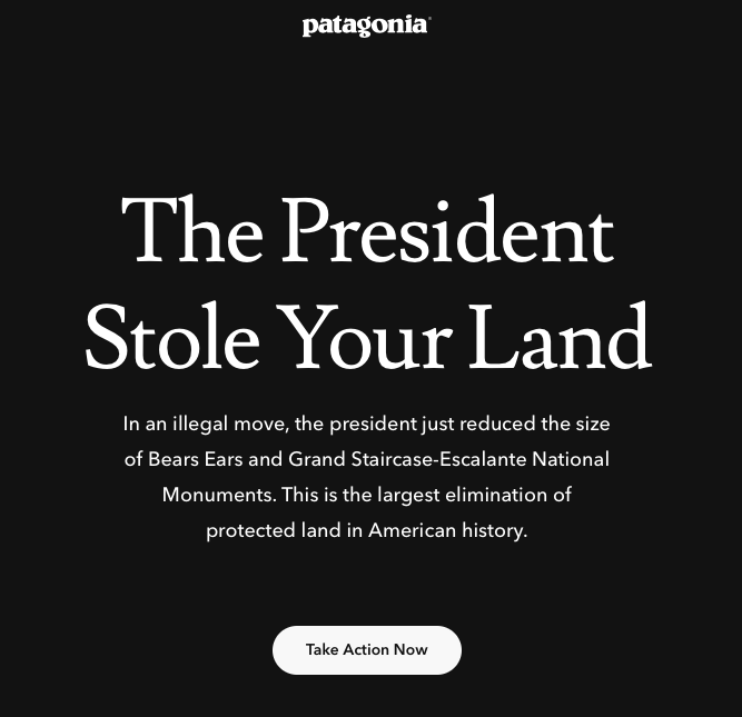 Patagonia Takes a Stand